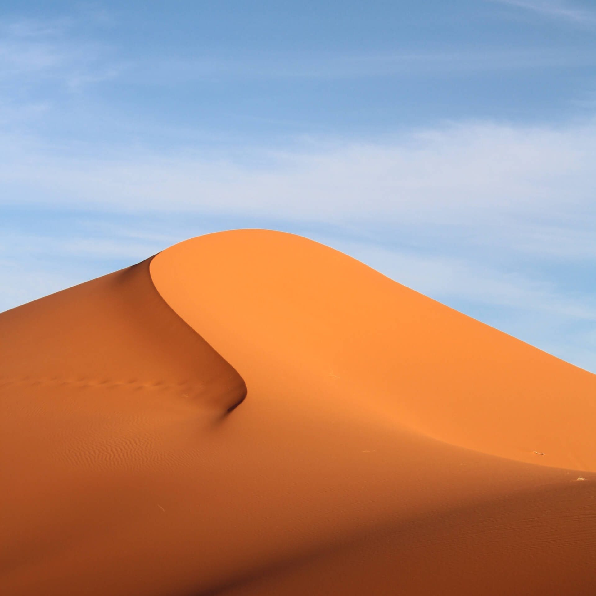 landscape 04.jpg